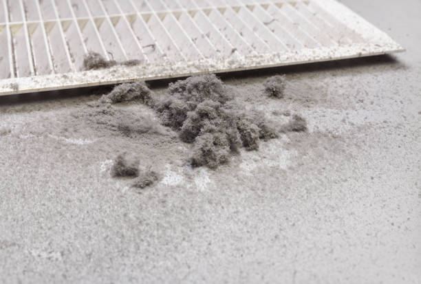 Best Affordable Air Duct Cleaning  in Rkside, PA